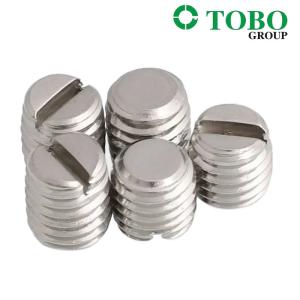 China Customized DIN551 / ISO 4766 Stainless steel slotted set screw with flat point fasteners wholesale