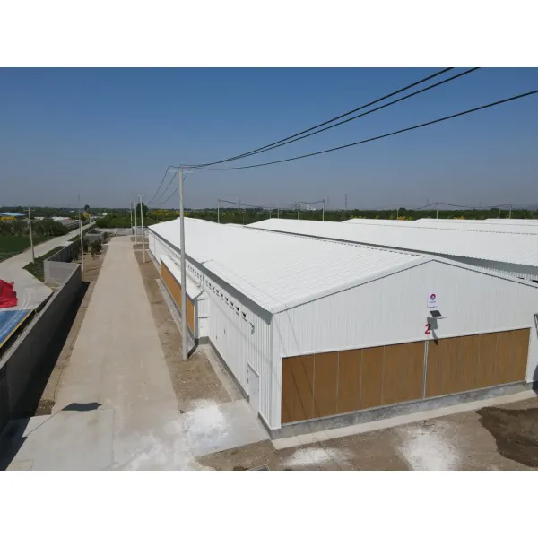 Hot Dip Galvanized Metal Steel Broiler Layer Poultry House With Automatic Brooding Equipment