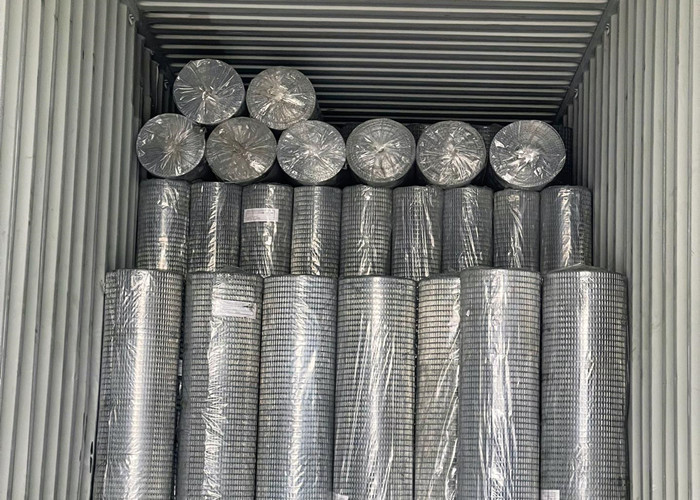 Galvanized Welded Iron Wire Mesh With Welded Weaving Type Wire Diameter 0.5mm 0.9mm
