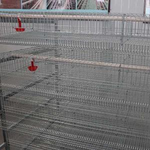 China Indoor Farm Quail Breeding Cages 6 Tiers 12 Cell 288 Quails wholesale