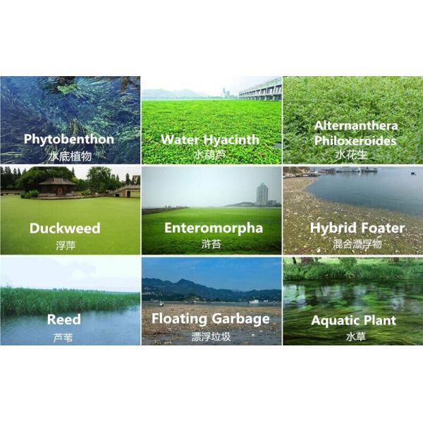 12t Load Capacity 75kw Power 3000m2/h Garbage Loading Aquatic Weed Harvester River Grass Cleaning Barge
