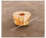 FEIHANG'S PLUG CHAIN SOUNDING TUBE FOR STEEL DECKS SOUNDING TUBE CAP SOUNDING