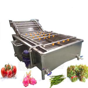 China 300kg/H Vegetable Fruit Washer Bubble Washing Machine wholesale