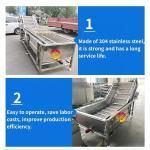 3000*1160*1400mm Green Vegetable Fruit Air Bubble Washing Machine for Mango