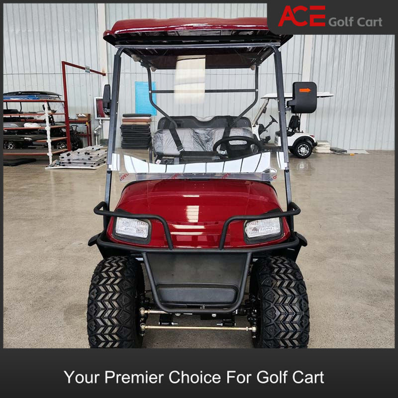 Lithium Powered Street Legal Buggy Electric Sightseeing Golf Carts