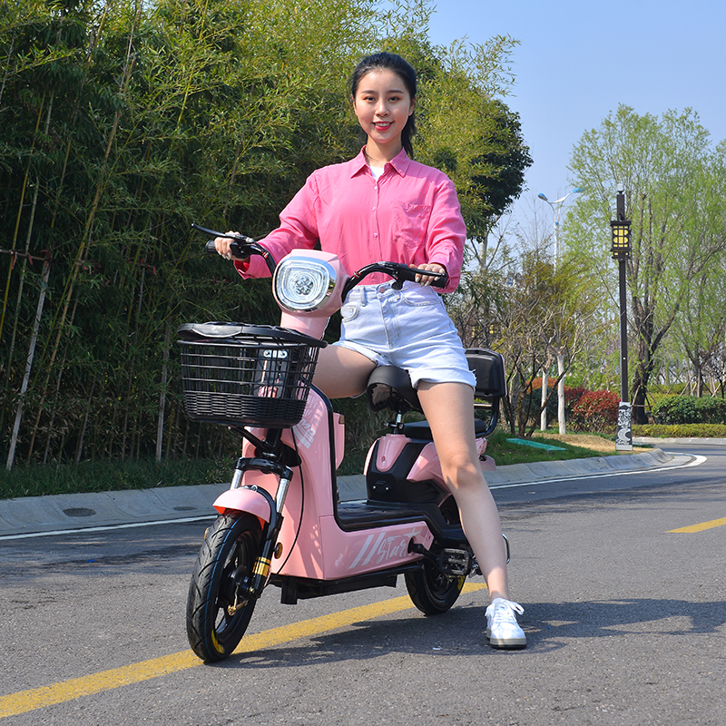 14 Inch Full Suspension Electric City Bike 350W 48V 12ah 2 Seat Electric Bicycle