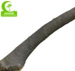 All season 400cm Height Artificial Tropical Tree , Large Artificial Outdoor