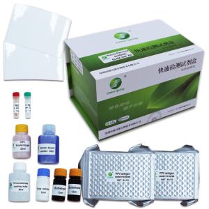 China 10min Porcine Parvovirus Test Kit Rapid Test Rtk For Pig 192 Wells/Kit GMP wholesale