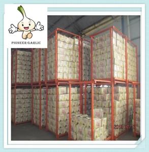 China jinxiang 4.5-6.0 cm fresh normal white garlic 2016 New Chinese Garlic wholesale