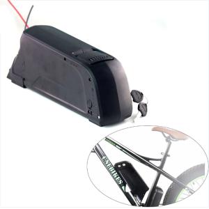 China Pinsheng Paselec Ebike Hidden 20ah 30ah 48v Folding Bike Battery Customized wholesale