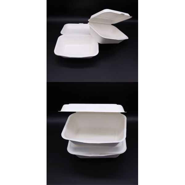 Popular Biodegradable Sugarcane Clamshell Lunch Bagasse Burger Box
