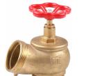 Red Hand Wheel Single Headed Hydrant Valve , Brass Fire Fighting Landing Valve