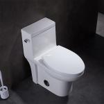 1 One Piece Elongated Toilet 15" Height Ceramic Wc Syphon Seamless Porcelain