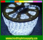 2 wire duralights 12v/24v led outdoor christmas rope flex lights