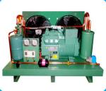 Freezer room 8HP R404a Refrigeration Condensing Units 4TES-9Y 7kw 4TCS-8.2Y