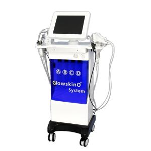 China HOTTEST 11 in 1 multifunction microdermabrasion professional hydro dermabrasion / microdermabrasion machine wholesale