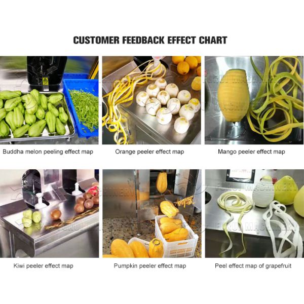 1200pcs/H Vegetable And Fruit Peeling Machine Fruit And Vegetable Peeler Machine