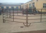 Welded Metal Cattle Fence Panels Australia Standard With Square / Oval / Round