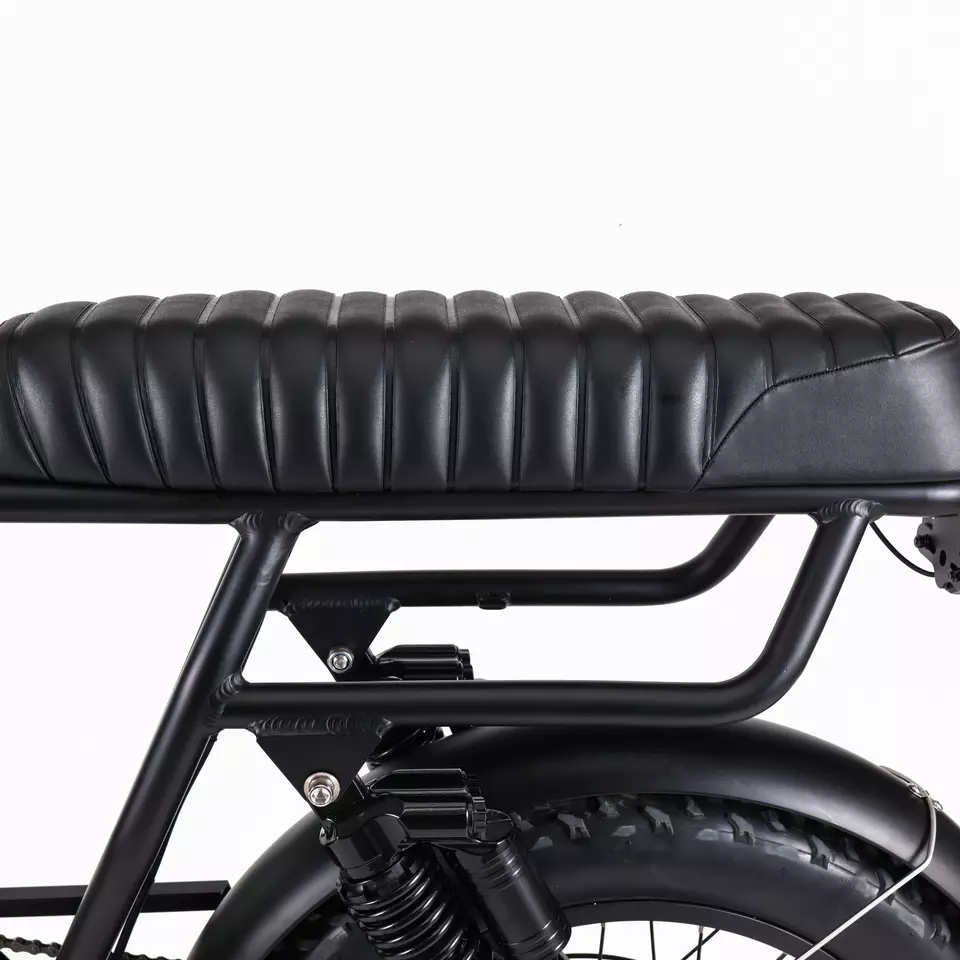 Adult Electric Bicycle Dual Suspension E Bike Max Speed 30-50Km/h Range per Power 60 km