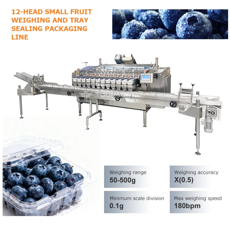 Speed Meets Precision: The Ultimate Small Fruit Packaging Solution