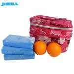 HDPE Hard Plastic Camping Frozen Food Cooler Gel Ice Pack FDA Approved