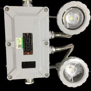 China 6w Led Explosion Proof Emergency Light Twin Head Wall Mounted wholesale