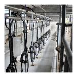 Dairy Farm Equipment Sheep Herringbone Milking Parlor With Glass Measuring