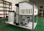Integrated Design Sodium Hypochlorite Equipment 40L/H For Swimming Pool