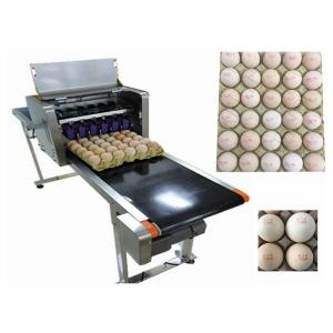 China High Speed Food Inkjet Printer / Edible Printing Machine For Whole Disk Eggs wholesale