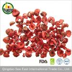 Halal instant food dehydrated vegetable freeze dried sour cherry
