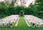 3000Pcs Silk Flowers Petals Wedding Decoration Silk Flowers Petals