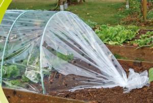 China AGRICULTURAL PLASTIC, pe film, horticultural mulch film, garden perforated ground film Transparent, Black, Silver/Black, wholesale
