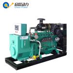 Factory directly sale CNG natural gas generator 100KW