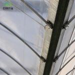Arched Roof Multispan Hydroponics Plastic Film Agricultural Greenhouse for