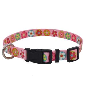 China Adjustalbe 1 Inch Dog Bone Pattern Pet Training Nylon Collar Neck 14&quot;-22&quot; wholesale