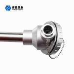 Pt1000 Pt1000 Pt100 RTD steam industrial thermometer Digital temperature