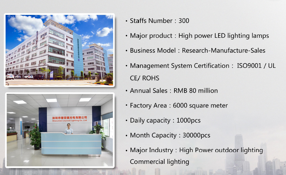 160lm / W IP65 Outdoor Street Lamps Meanwell ELG Green Environmental Protection